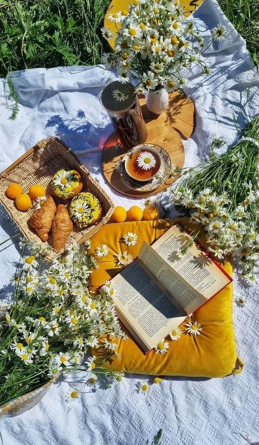 🍒Picnic On The Square 🧺🍰 ~ Rescheduled Due To Rain 🌦️