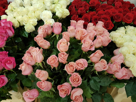 ⚜️ Legacy Rose Contribution — $100